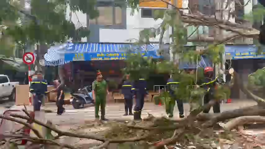 Phòng Cảnh sát PCCC và CNCH tiếp tục cắt cây dọn đường Ký Con, quận Hồng Bàng